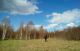 следующее фото