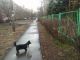 следующее фото