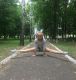 Без описания