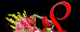 5e4ad0cac9cd29.710689231581961418_5e4ad0cac9cdd6.05579163.png