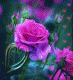5e6343880a9890.253809251583563656_5e6343880a9989.75402298.gif