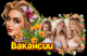 Без описания
