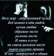 следующее фото