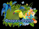 Без описания