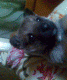 5edbeae7aee6a1.052191411591470823_5edbeae7aee7d0.64701770.gif