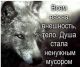 Без описания