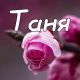 предыдушее фото