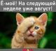 Без описания