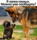 Без описания