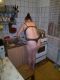 Без описания