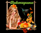 Без описания