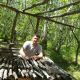 Без описания