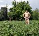 Без описания