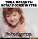Без описания