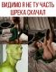 Без описания