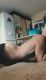 следующее фото