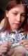 Без описания