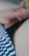 предыдушее фото