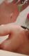 предыдушее фото
