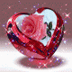5ff6bb4f111164.000474411610005327_5ff6bb4f111264.05994675.gif