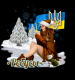 6013bfc76b3369.531751001611907015_6013bfc76b3474.62368005.png