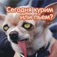 Без описания