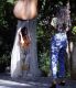Suelyn Medeiros Nude Topless-04