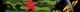 602e8e12eecaf4.369437921613663762_602e8e12eecbc6.96135848.png