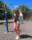 Без описания