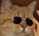Кото.Лепс