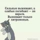 Без описания