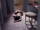 Halle Berry-Introducing Dorothy Dandridge.03