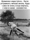 следующее фото