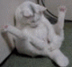 60d3619dd63c23.999208021624465821_60d3619dd63cf2.33929547.gif