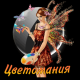 Цветомания