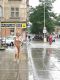 следующее фото