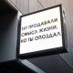 предыдушее фото