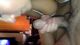 Kym Marsh sex tape-01