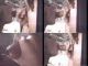 Kristine Debell Classic Blowjob - Public Sluts.03