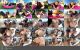 Anna Polina - Anna Polina s Anal Obsession - 11.17.15.04