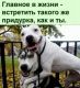 Главное