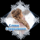 Без описания