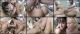 Jewel DeNyle - Hot Bods and Tail Pipe #18.02