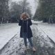 Без описания
