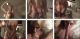 Shauna Sand Exposed, Scene 3.01