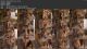 Angela Taylor - Private Dancer.03