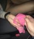 Без описания