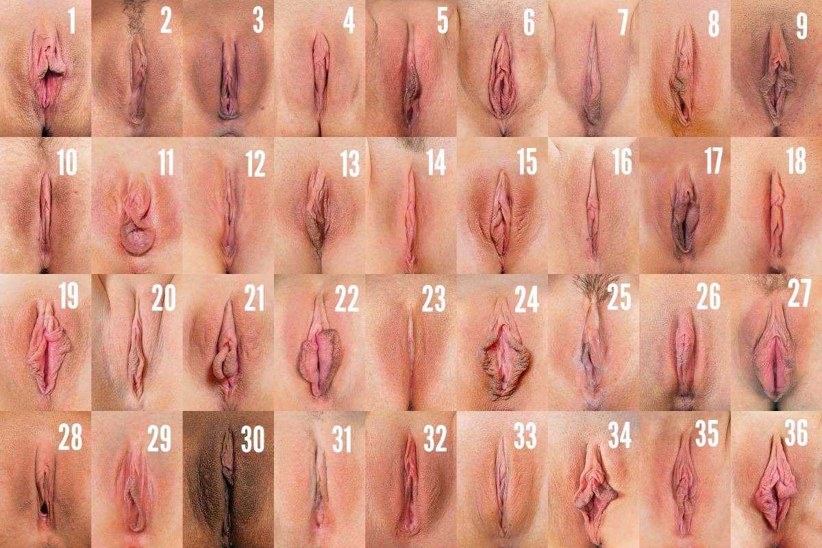 Girls Compare Pussies
