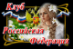Без описания