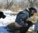 предыдушее фото